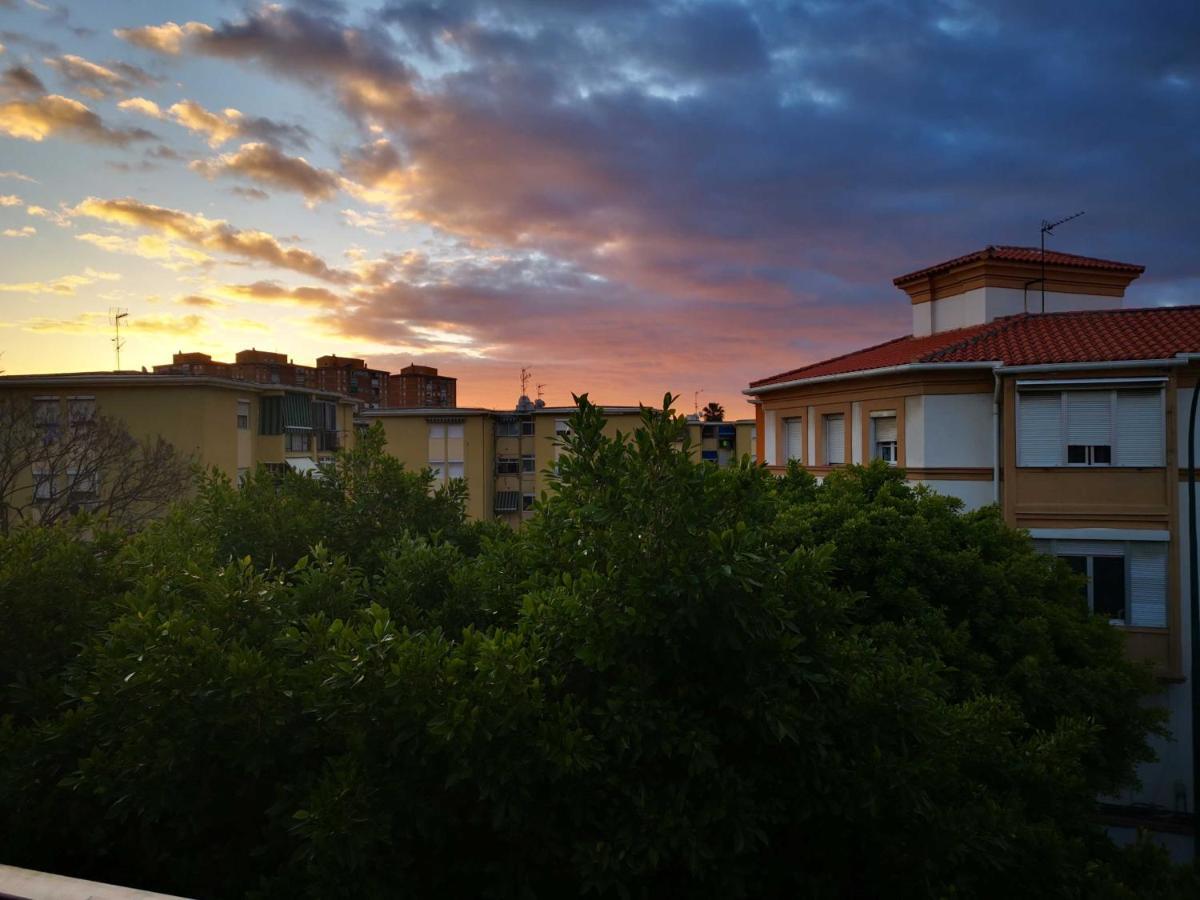 Sunnyspainholidays Apartments Málaga Eksteriør bilde
